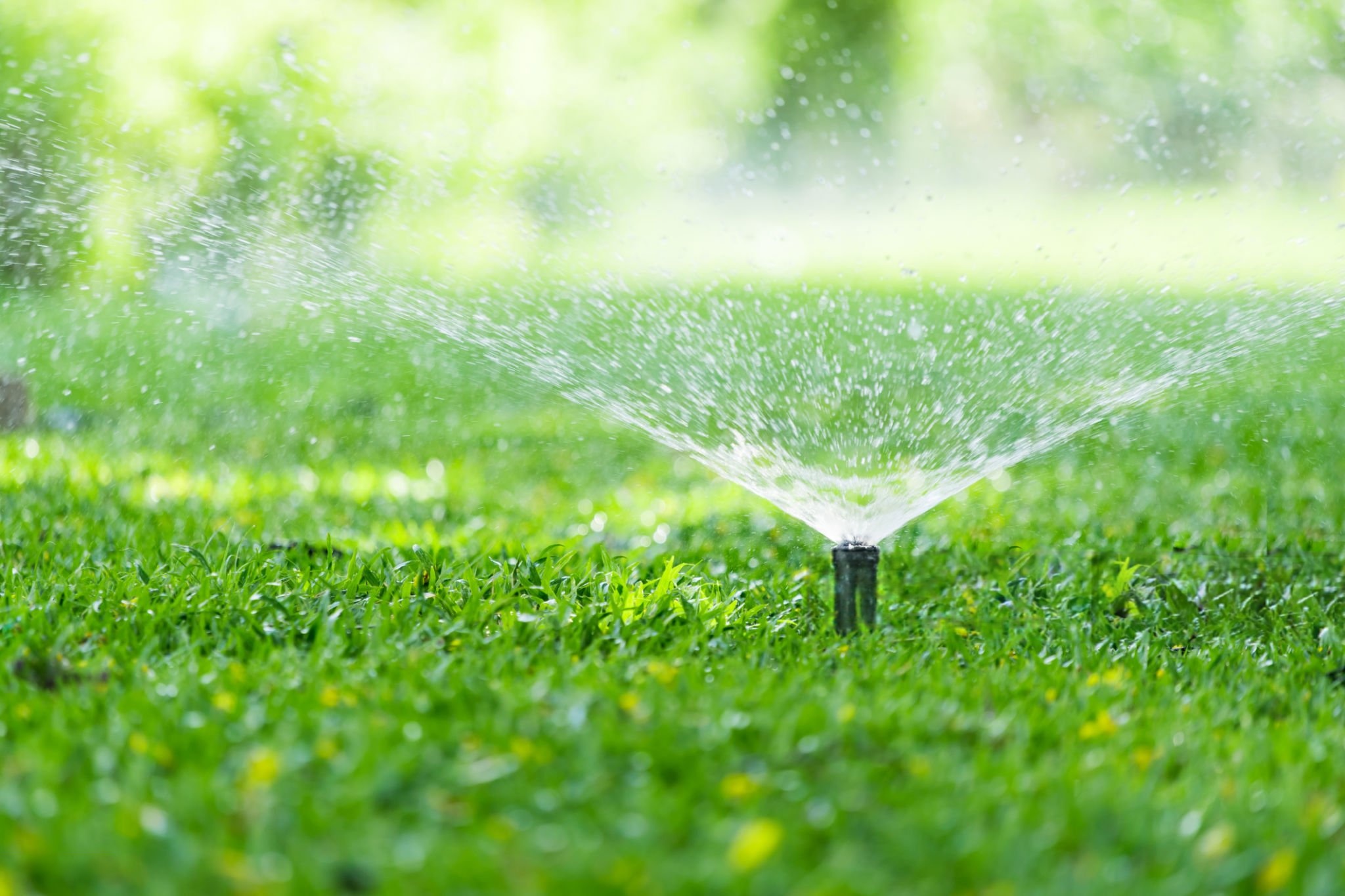 Kissimmee Irrigation Services